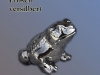 k_ag_frosch2