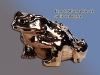 k_cu_frosch