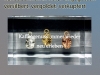versilbert, verkupfert und vergoldete Kaffeebohnen in Acryl gegossen
