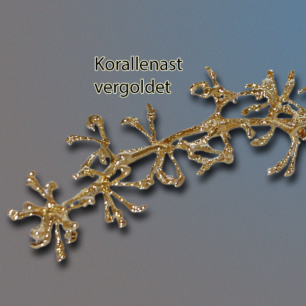 Korallenast, vergoldet