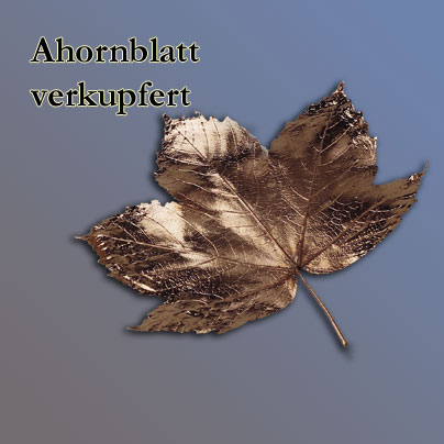 n_cu_ahornblatt