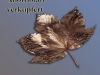 n_cu_ahornblatt